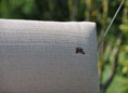 Hollywoodschaukel Relax Smart stone
